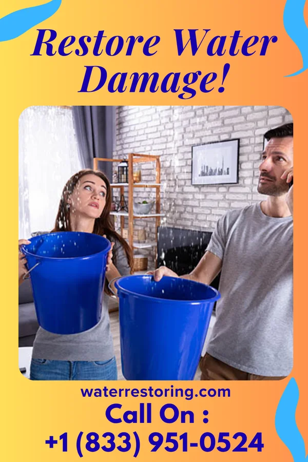 water restoration Direct Flood Cleanup & Sons Minden
