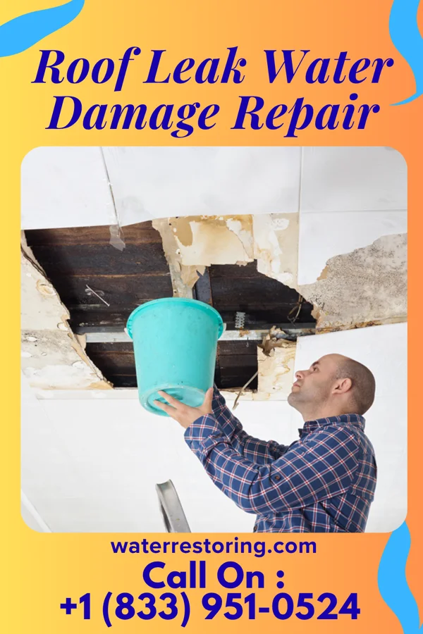 Roof Leak Water Damage Repair in Minden, LA